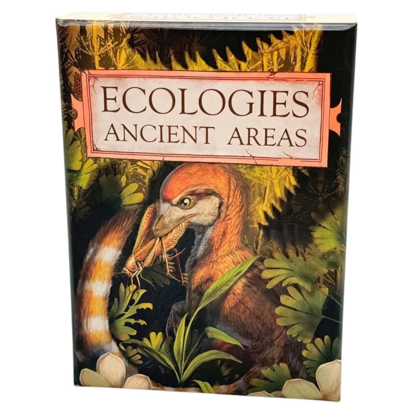 Ecologies: Ancient Areas