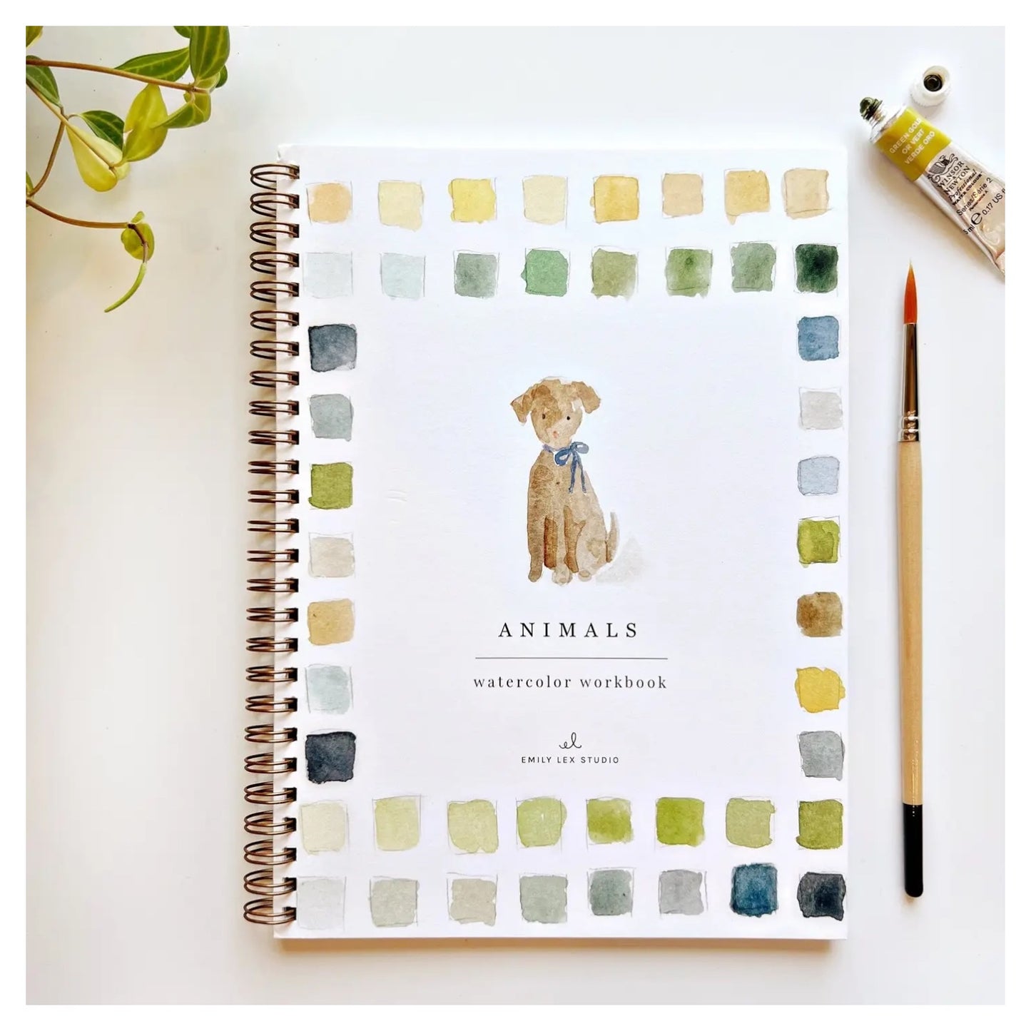 Animals Watercolor Workbook