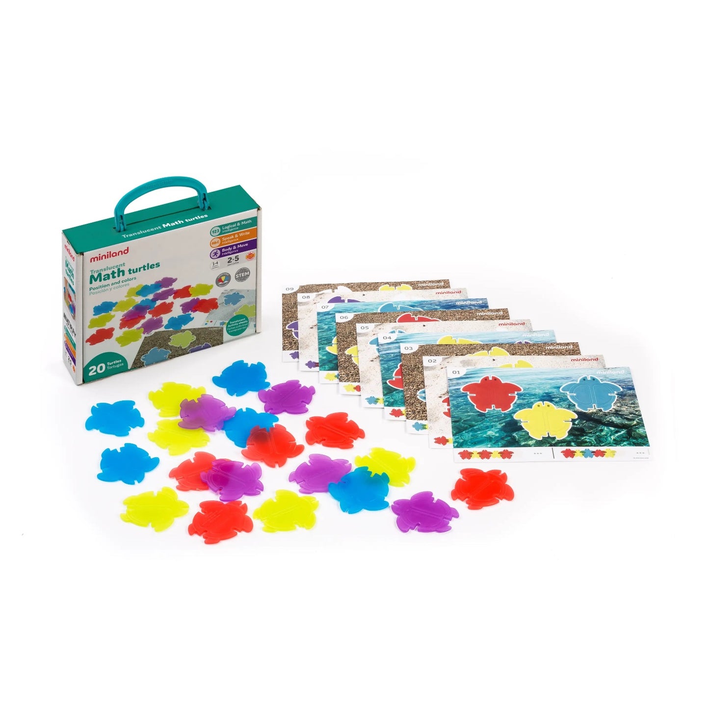 Translucent Math Turtles