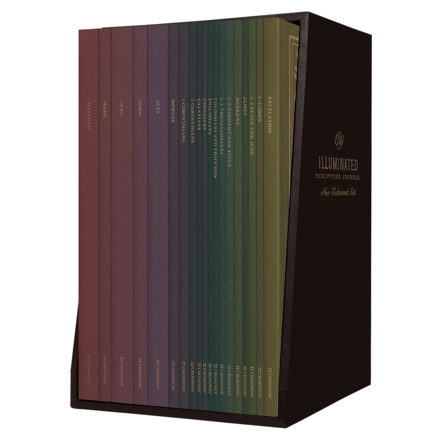 ESV Illuminated Study Journal (New Testament Set)