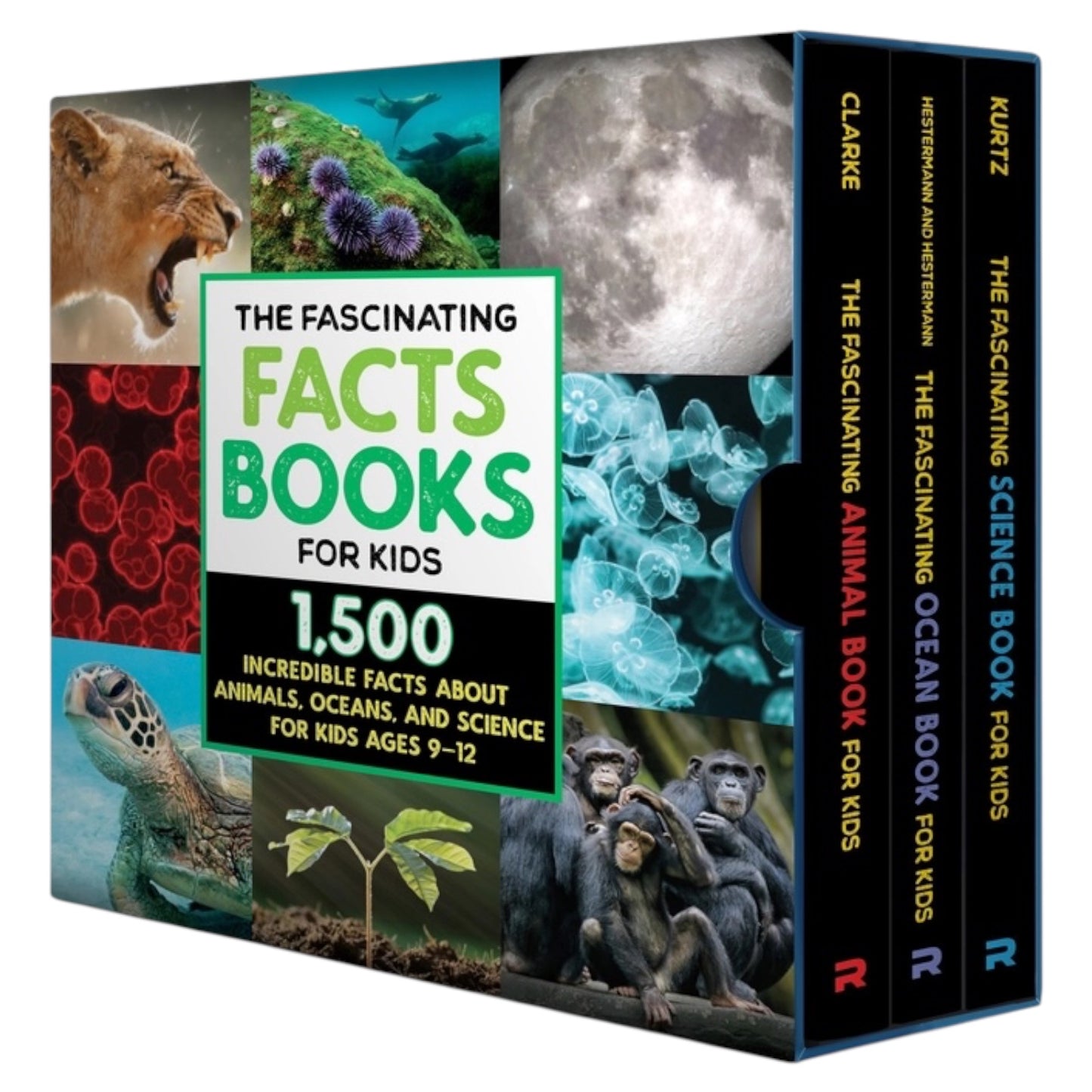 Fascinating Facts Books For Kids 3 Book Box Set