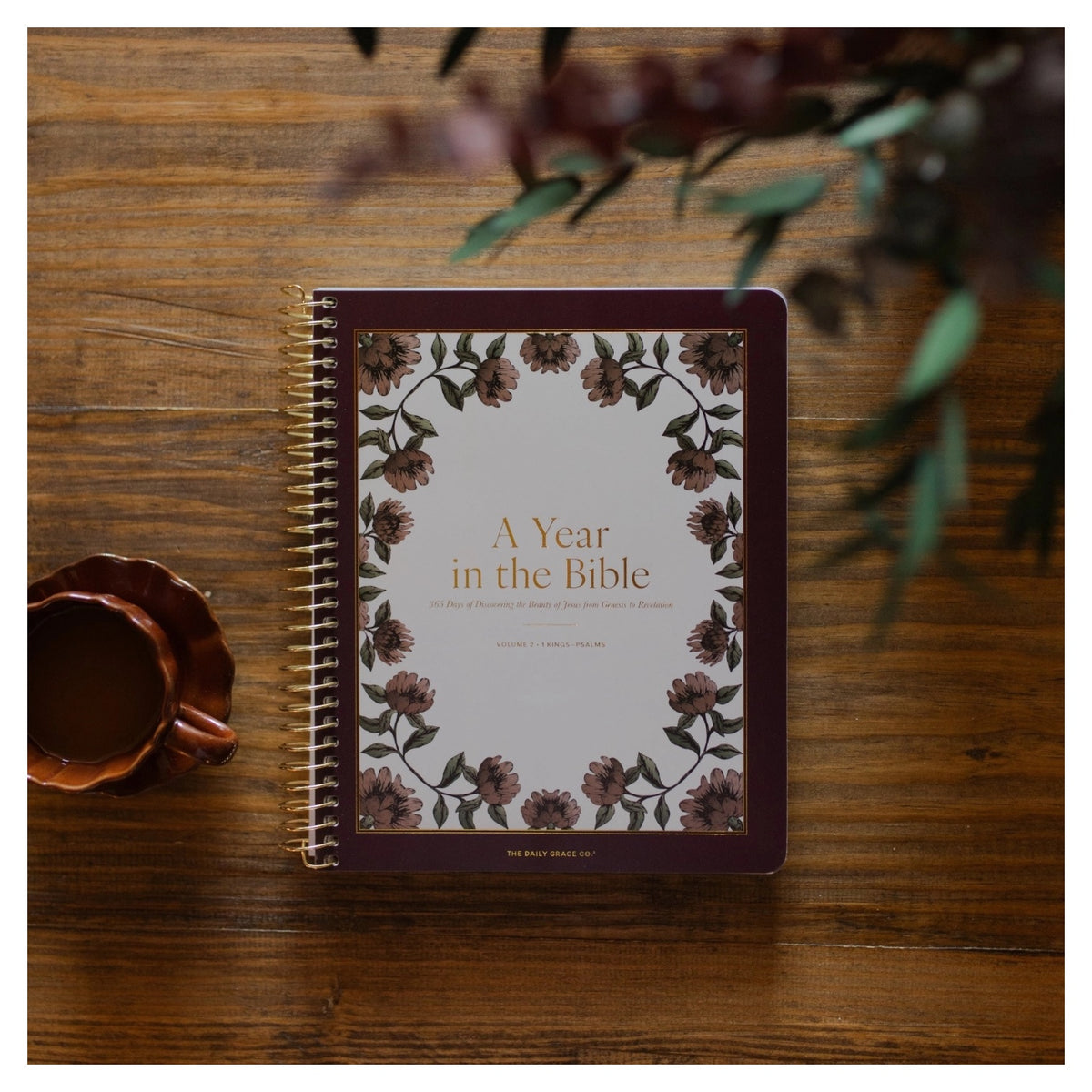 A Year in the Bible | Volume 2 Bible Study