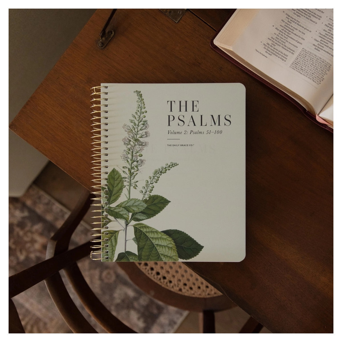 The Psalms Spiral Bible Study | Volume 2
