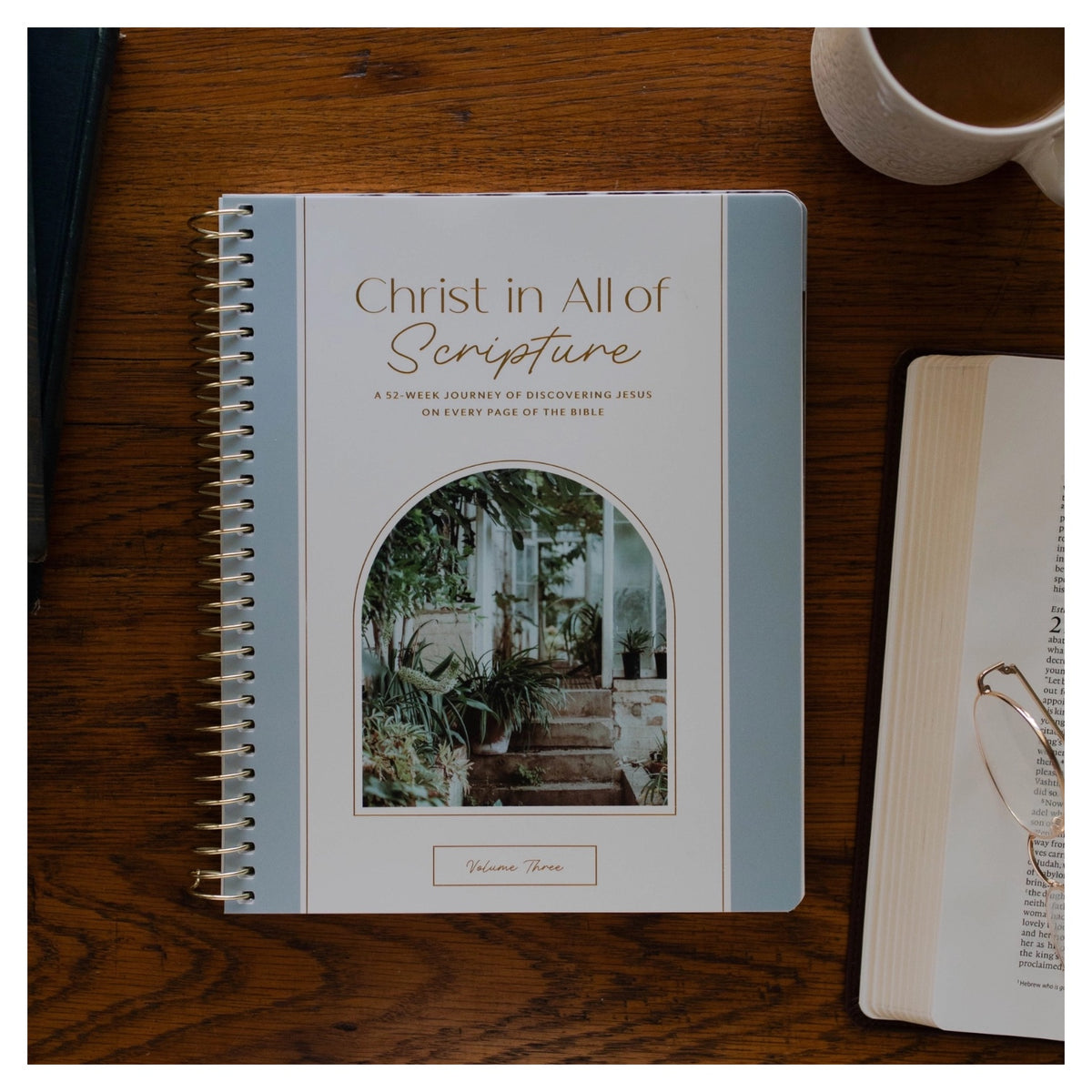 Christ in All of Scripture | Volume 3 Bible Study