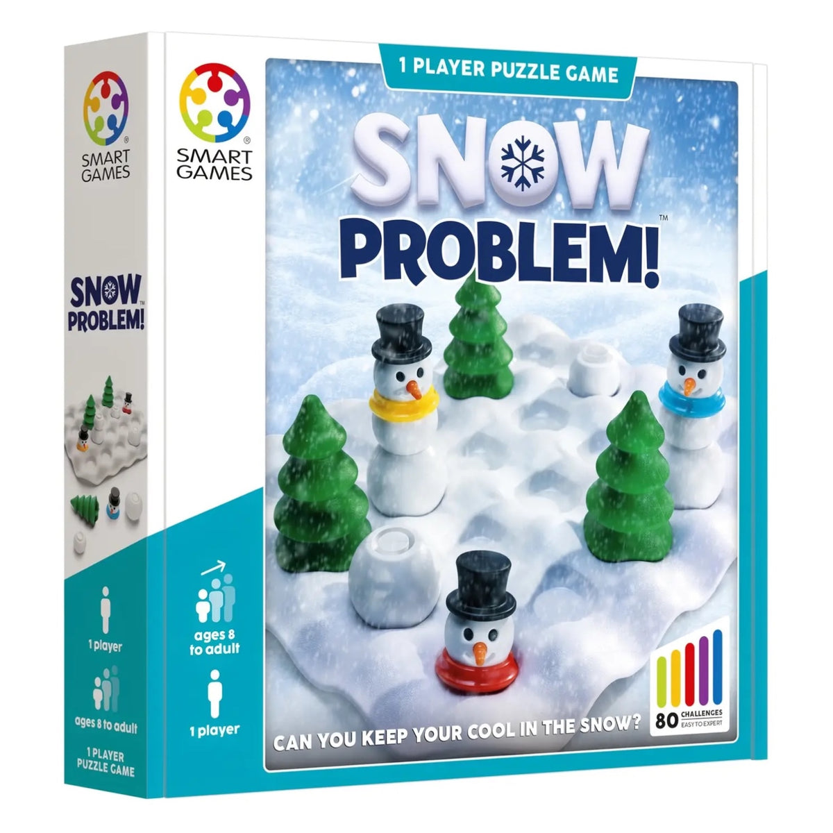 Snow Problem Logic Puzzle