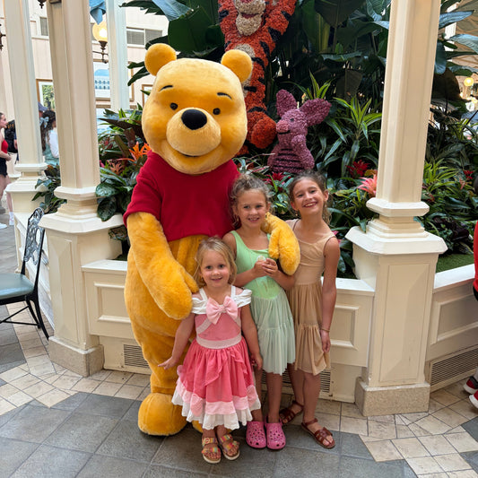 The Educational Value of Visiting a Disney Park: Learning Through Experience
