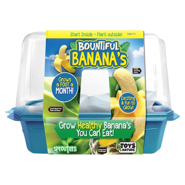 Bountiful Bananas Terrarium