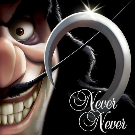 Never Never (Hardcover)