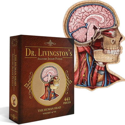 Anatomy Jigsaw Puzzle: the Human Head