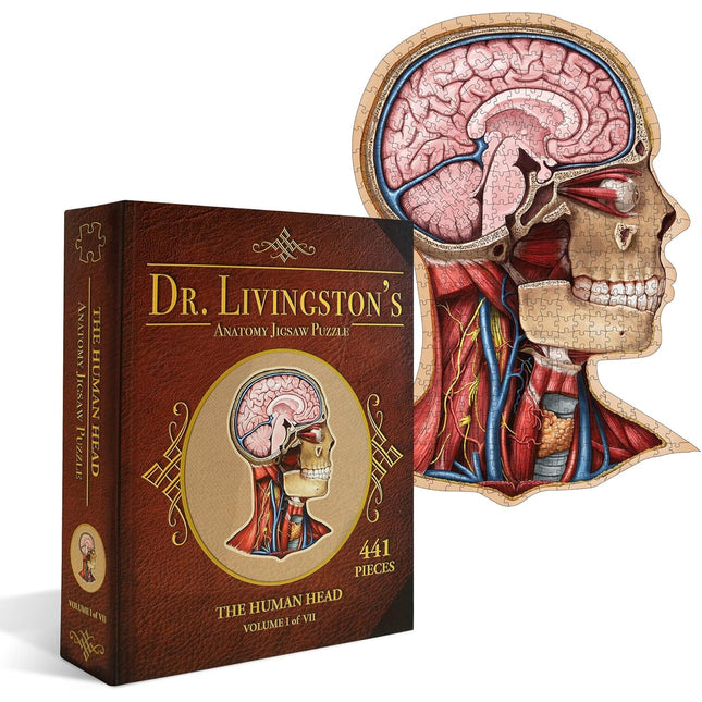 Anatomy Jigsaw Puzzle: the Human Head