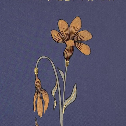 Middlemarch (Hardcover)
