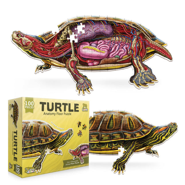 Turn N Learn: Turtle Puzzle
