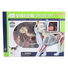4D Calico Cat