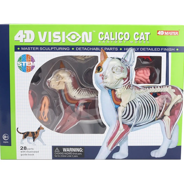 4D Calico Cat