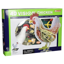 4D Chicken Anatomy