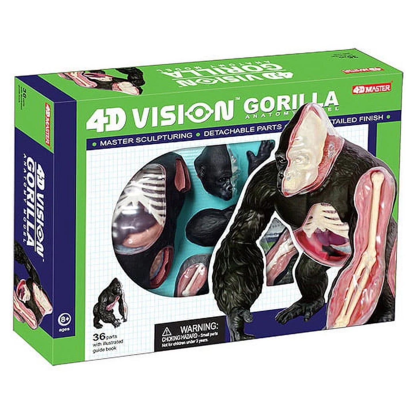 4D Gorilla