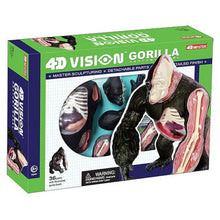 4D Gorilla