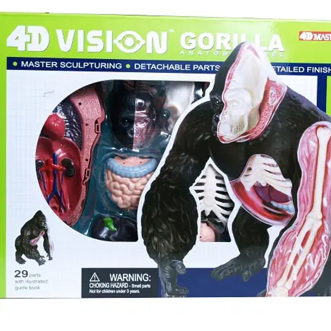 4D Gorilla