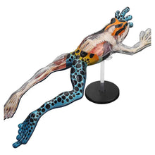 4D Poison Dart Frog