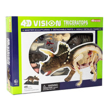 4D Triceratops Anatomy
