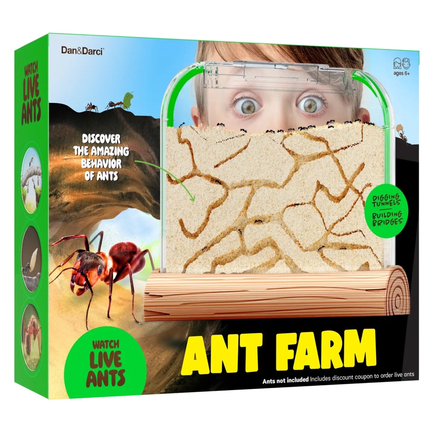 Ant Farm Kit For Kids (Includes Ant Voucher)