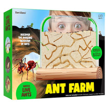 Ant Farm Kit For Kids (Includes Ant Voucher)