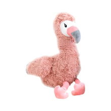 Francesca the Weighted Flamingo