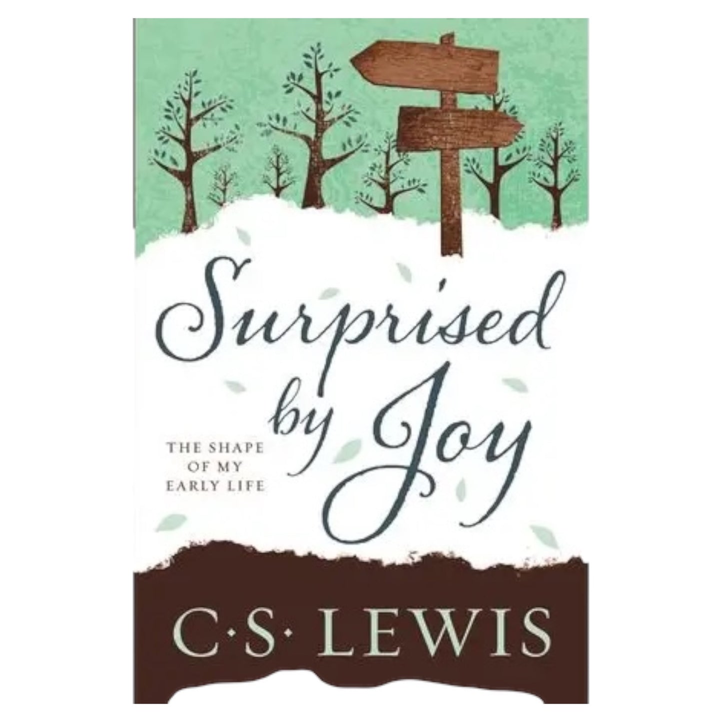 Surprised by Joy
