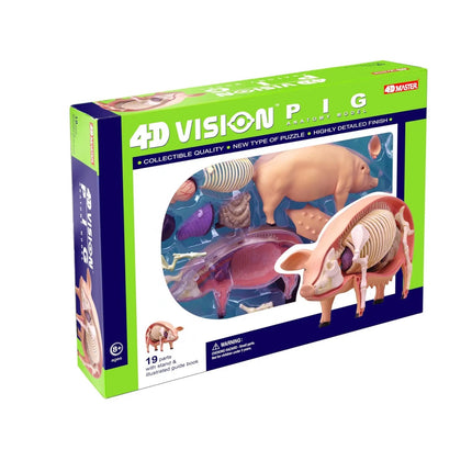 4D Pig Anatomy