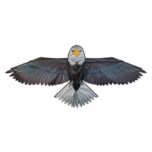 Bald Eagle Kite (HUGE at 70" Wide)