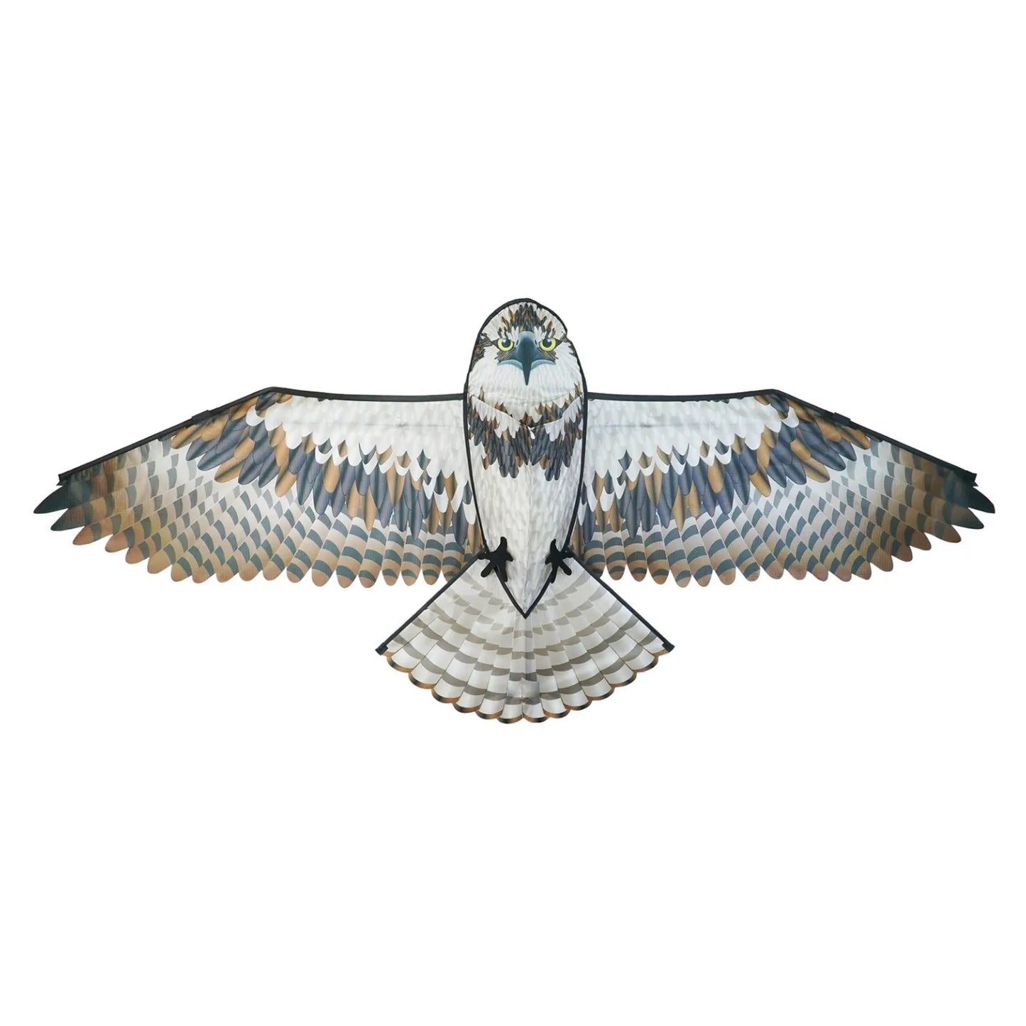Osprey Kite (HUGE at 70" Wide)
