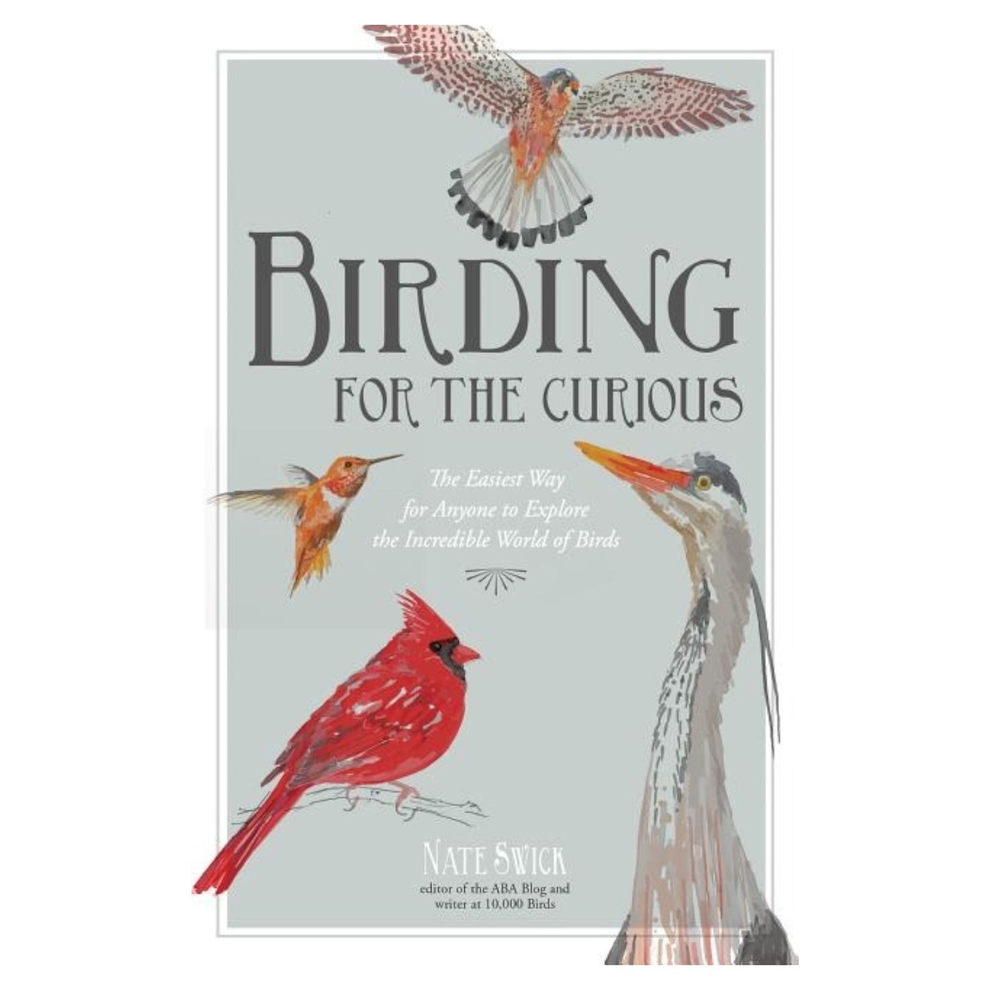 Birding For the Curious