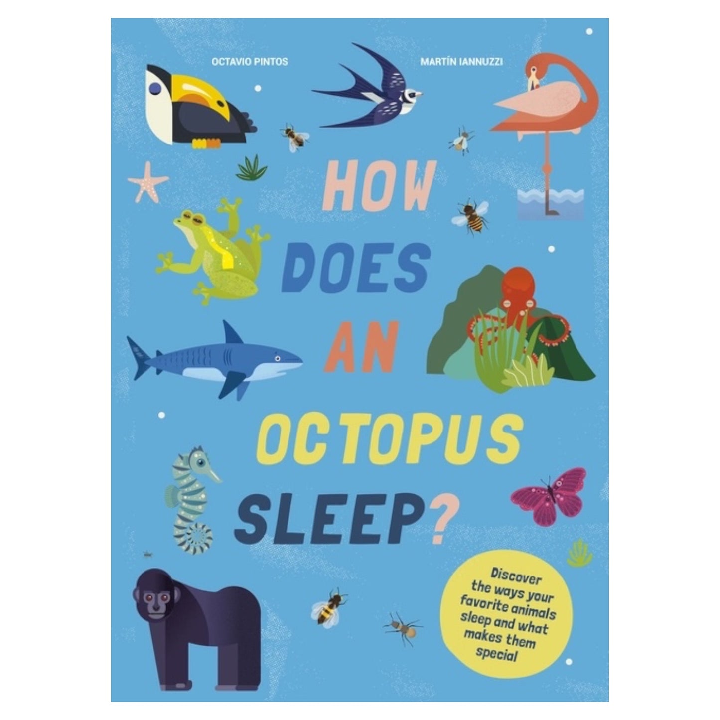 How Does An Octopus Sleep?