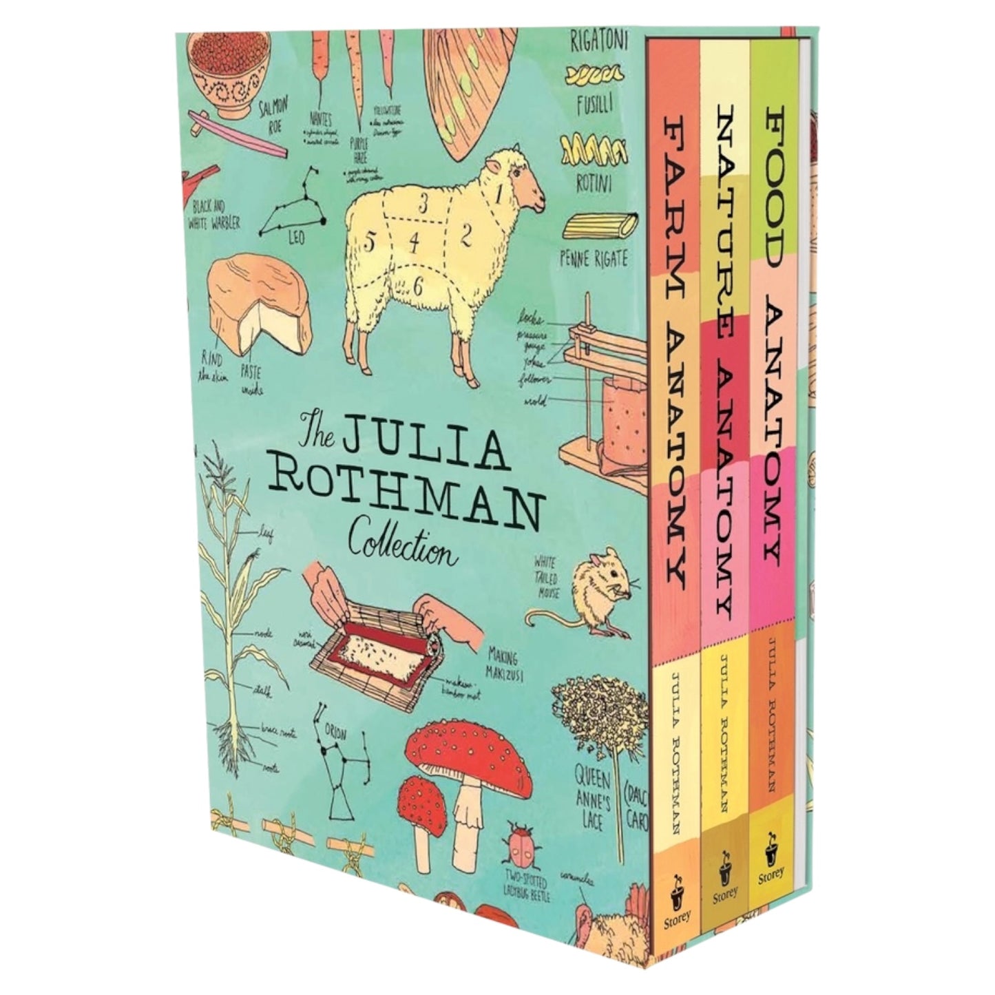 The Julia Rothman Collection