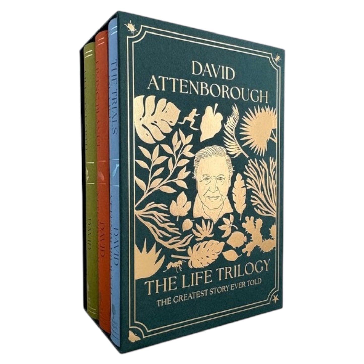 The Life Trilogy Boxset