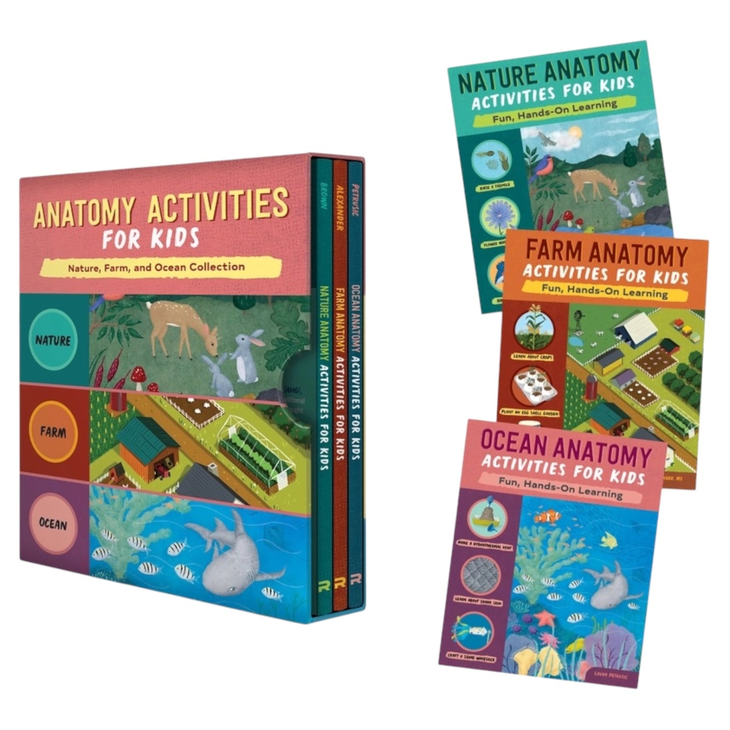 Anatomy Collection For Kids Box Set