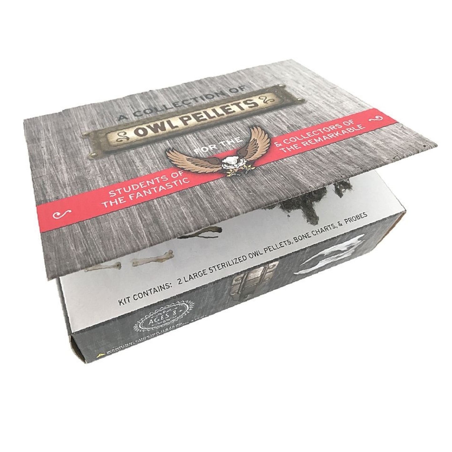 Cabinet of Owl Pellets Dissection Kit