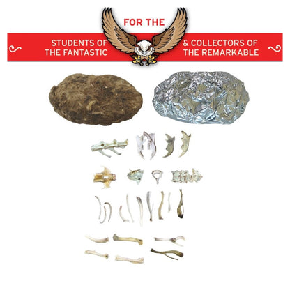 Cabinet of Owl Pellets Dissection Kit