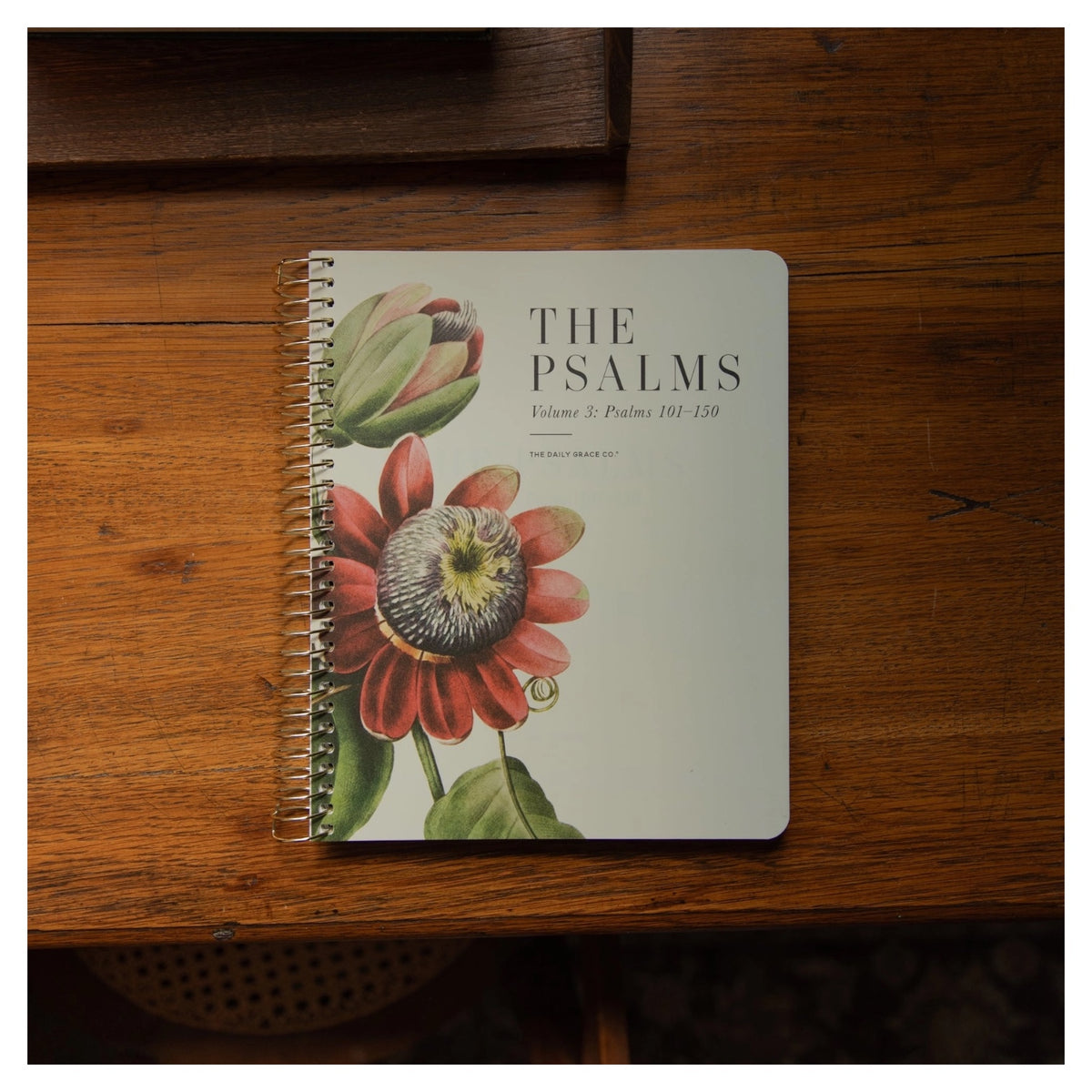 The Psalms Spiral Bible Study | Volume 3