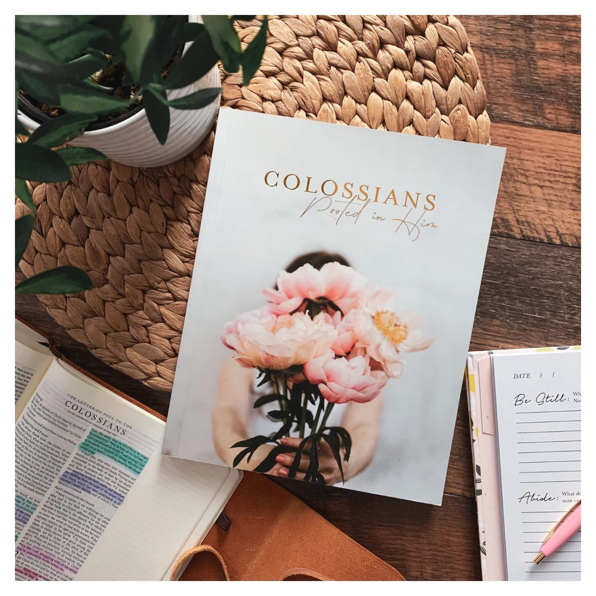 Colossians Bible Study
