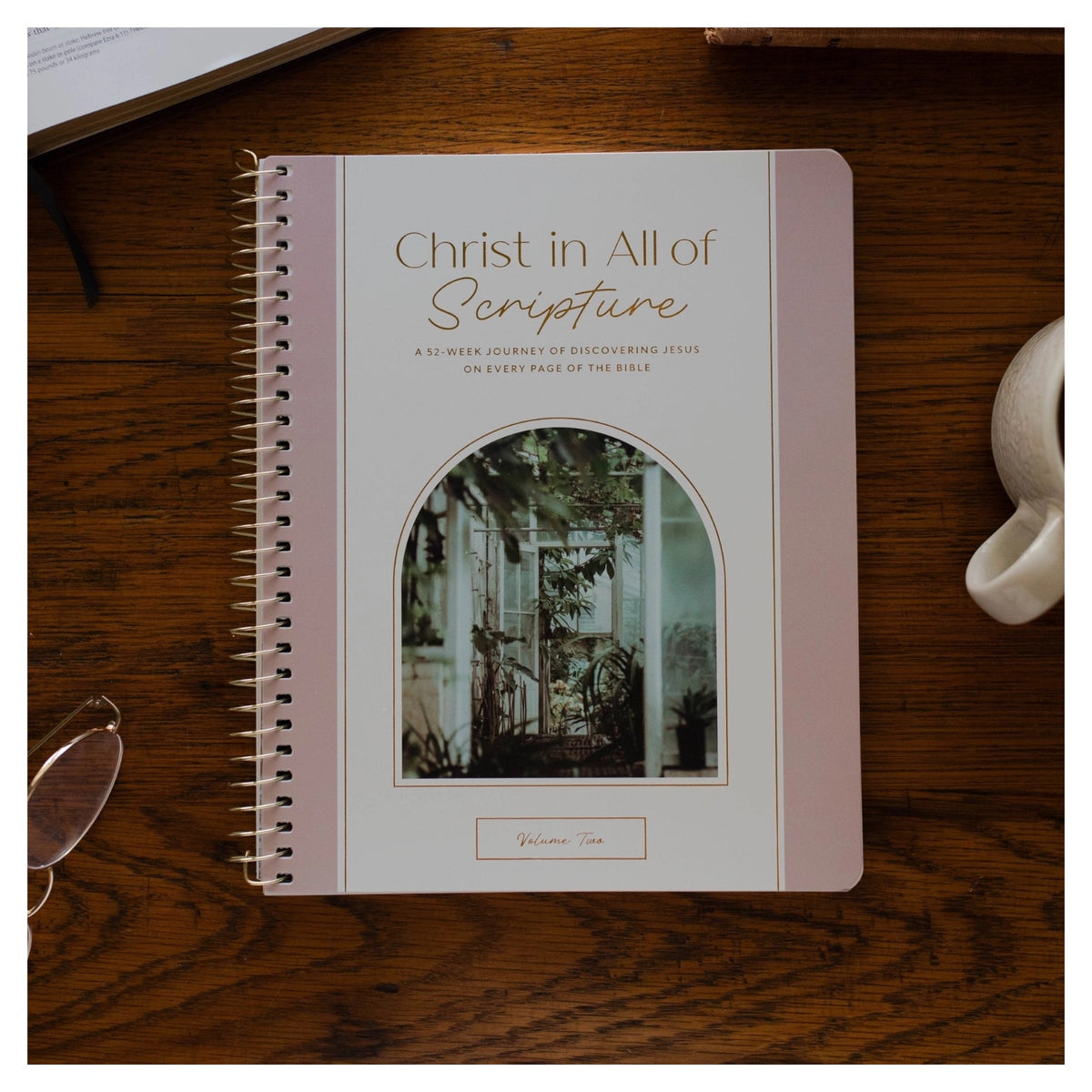 Christ in All of Scripture | Volume 2 Bible Study