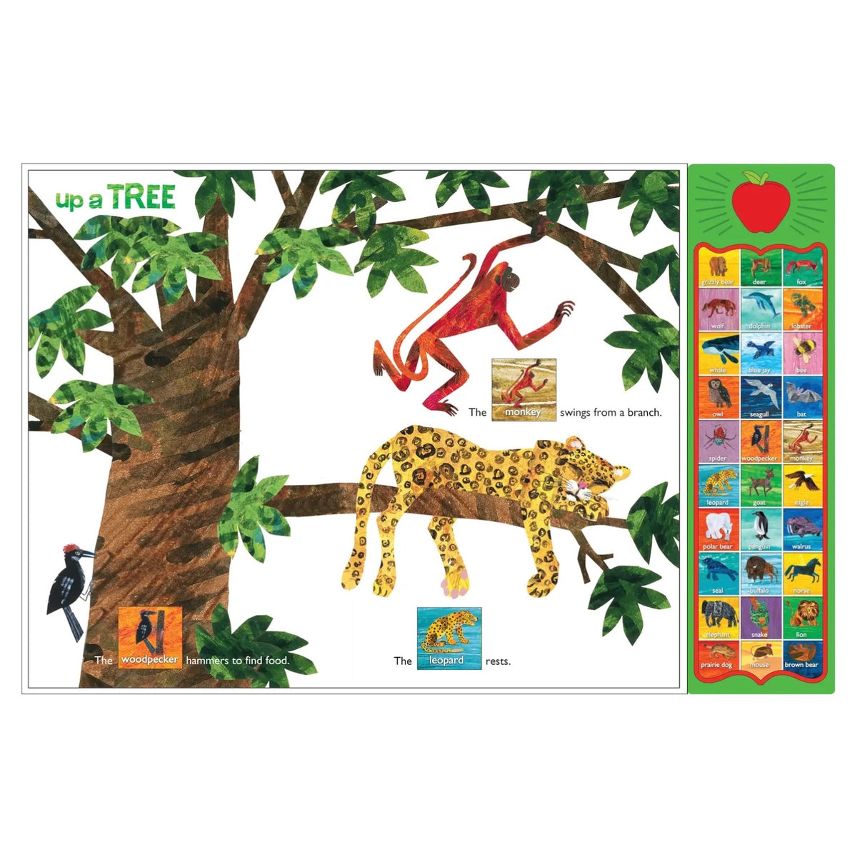 World of Eric Carle: Hear Bear Roar
