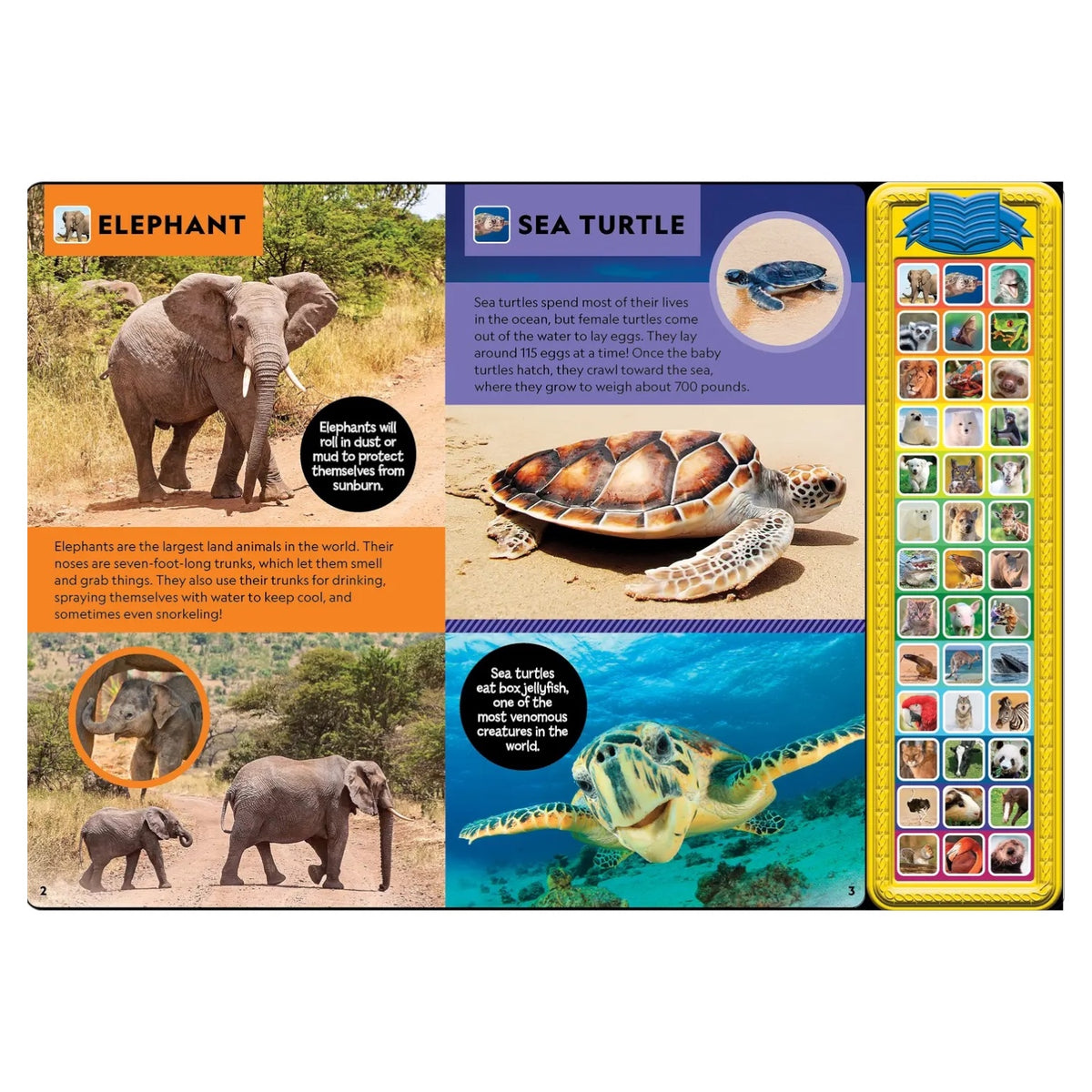 National Geographic Kids: Animal Sound Treasury