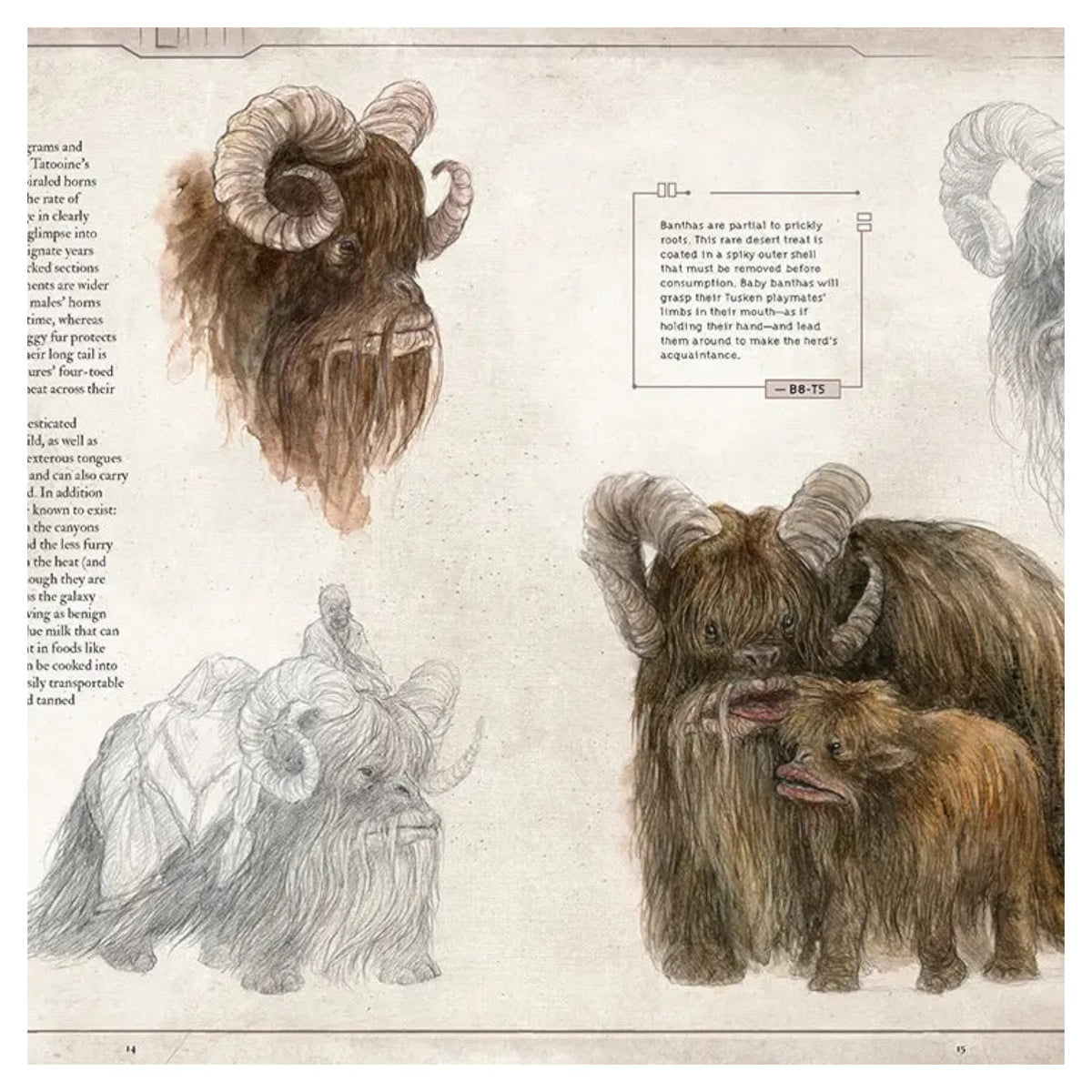 Star Wars Bestiary (Volume 1)