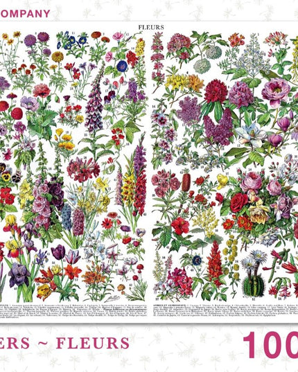 Flowers--Fleurs — 1000 piece