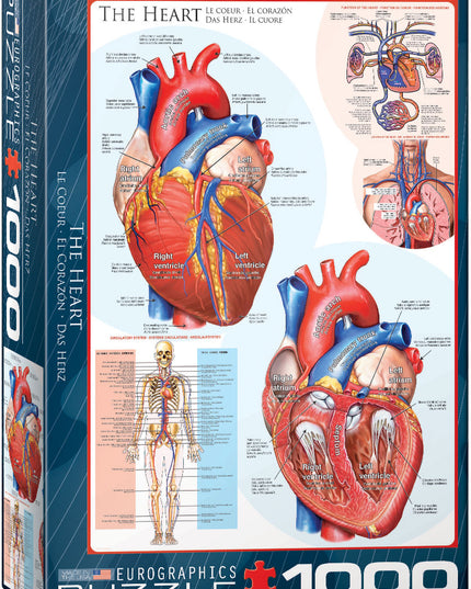 The Heart — 1000 Piece