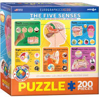 The Five Senses — 200 piece