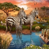 Zebras at the Waterhole — 500 Piece