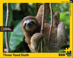 Three Toed Sloth — 500 piece