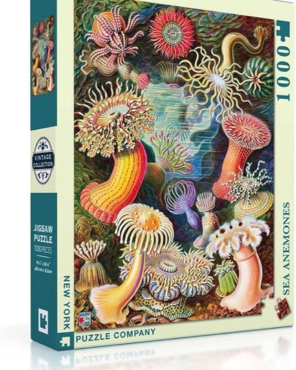 Sea Anemones — 1000 piece